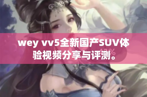 wey vv5全新国产SUV体验视频分享与评测。