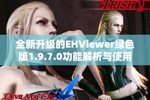 全新升级的EHViewer绿色版1.9.7.0功能解析与使用指南