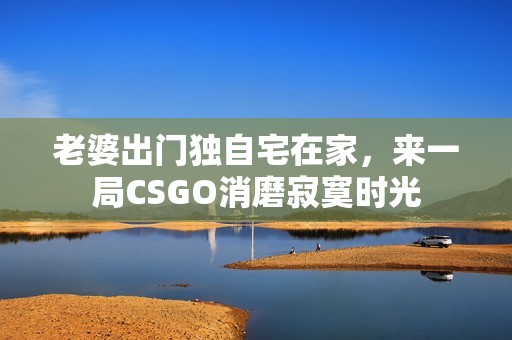 老婆出门独自宅在家，来一局CSGO消磨寂寞时光