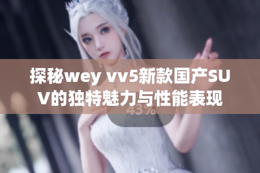 探秘wey vv5新款国产SUV的独特魅力与性能表现