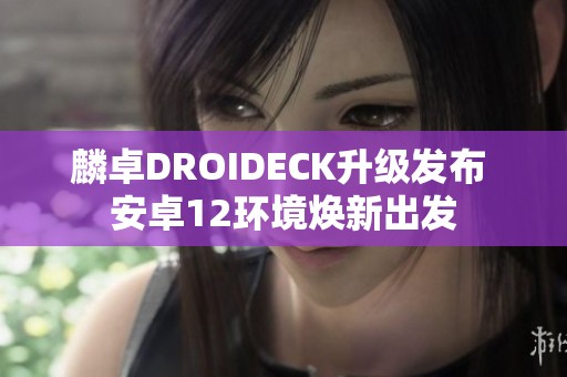 麟卓DROIDECK升级发布 安卓12环境焕新出发