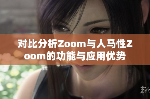 对比分析Zoom与人马性Zoom的功能与应用优势