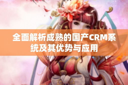 全面解析成熟的国产CRM系统及其优势与应用