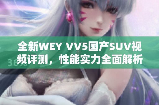 全新WEY VV5国产SUV视频评测，性能实力全面解析