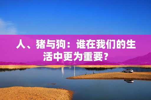 人、猪与狗：谁在我们的生活中更为重要？