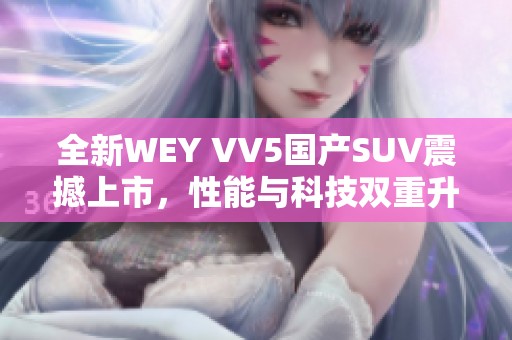 全新WEY VV5国产SUV震撼上市，性能与科技双重升级