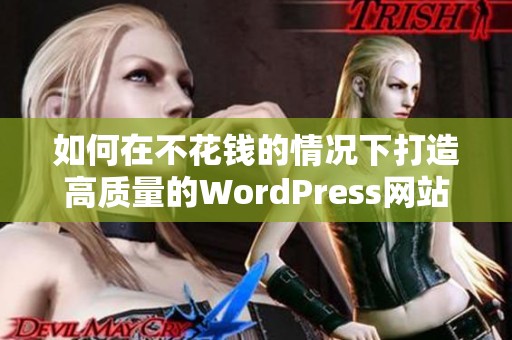 如何在不花钱的情况下打造高质量的WordPress网站