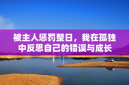 被主人惩罚整日，我在孤独中反思自己的错误与成长