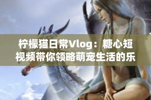 柠檬猫日常Vlog：糖心短视频带你领略萌宠生活的乐趣