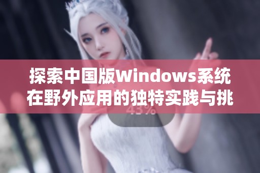 探索中国版Windows系统在野外应用的独特实践与挑战