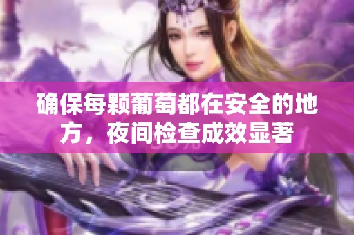 确保每颗葡萄都在安全的地方，夜间检查成效显著