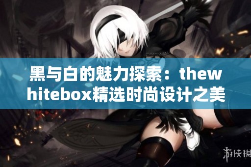 黑与白的魅力探索：thewhitebox精选时尚设计之美