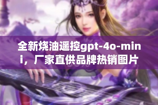 全新烧油遥控gpt-4o-mini，厂家直供品牌热销图片汇总