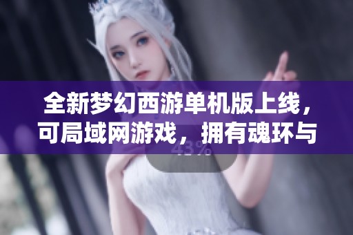 全新梦幻西游单机版上线，可局域网游戏，拥有魂环与灵宝系统等精彩玩法