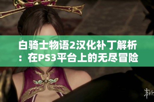 白骑士物语2汉化补丁解析：在PS3平台上的无尽冒险之旅