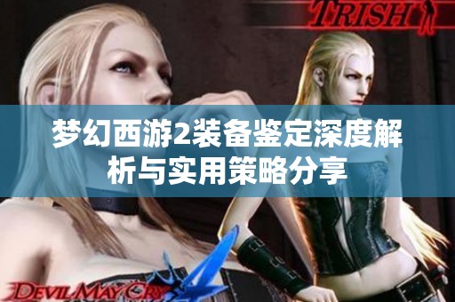 梦幻西游2装备鉴定深度解析与实用策略分享