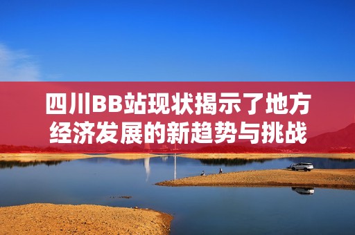 四川BB站现状揭示了地方经济发展的新趋势与挑战