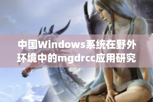 中国Windows系统在野外环境中的mgdrcc应用研究分析