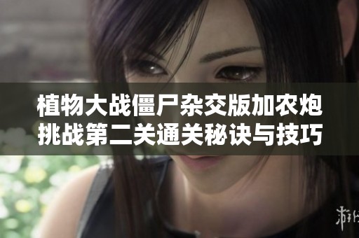 植物大战僵尸杂交版加农炮挑战第二关通关秘诀与技巧分享