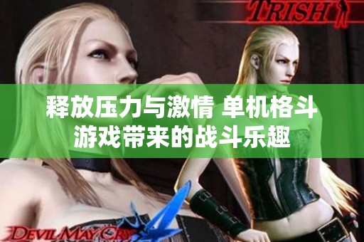 释放压力与激情 单机格斗游戏带来的战斗乐趣