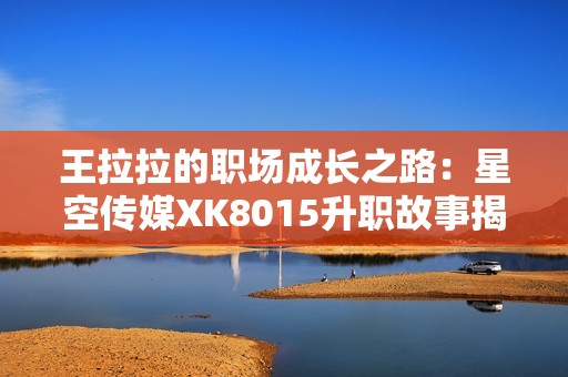 王拉拉的职场成长之路：星空传媒XK8015升职故事揭秘