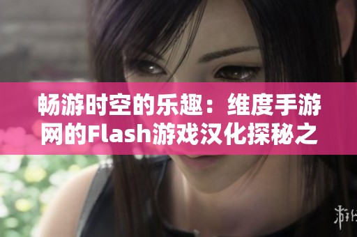 畅游时空的乐趣：维度手游网的Flash游戏汉化探秘之旅