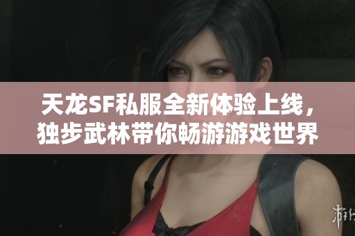 天龙SF私服全新体验上线，独步武林带你畅游游戏世界