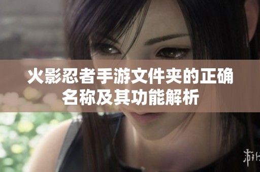火影忍者手游文件夹的正确名称及其功能解析