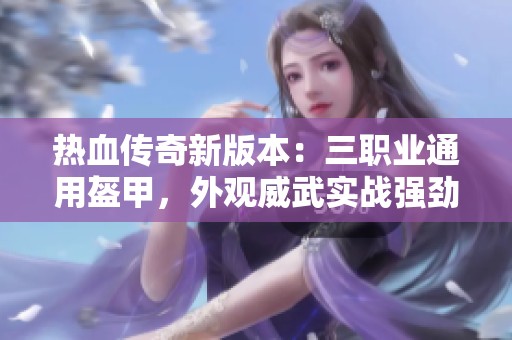 热血传奇新版本：三职业通用盔甲，外观威武实战强劲