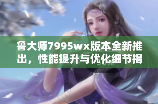 鲁大师7995wx版本全新推出，性能提升与优化细节揭秘