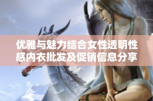 优雅与魅力结合女性透明性感内衣批发及促销信息分享