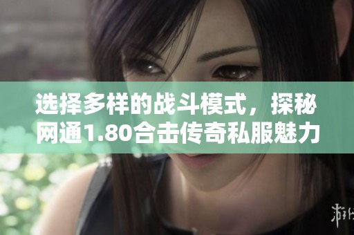 选择多样的战斗模式，探秘网通1.80合击传奇私服魅力