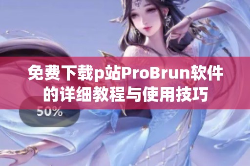 免费下载p站ProBrun软件的详细教程与使用技巧