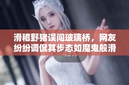 滑稽野猪误闯玻璃桥，网友纷纷调侃其步态如魔鬼般滑稽