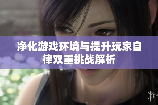 净化游戏环境与提升玩家自律双重挑战解析