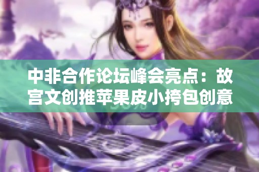 中非合作论坛峰会亮点：故宫文创推苹果皮小挎包创意设计