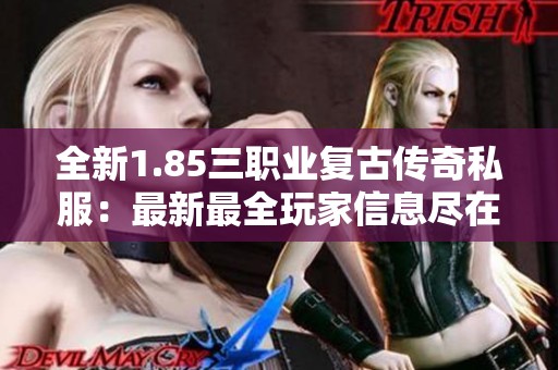 全新1.85三职业复古传奇私服：最新最全玩家信息尽在掌握