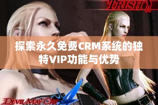 探索永久免费CRM系统的独特VIP功能与优势