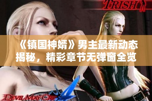 《镇国神婿》男主最新动态揭秘，精彩章节无弹窗全览