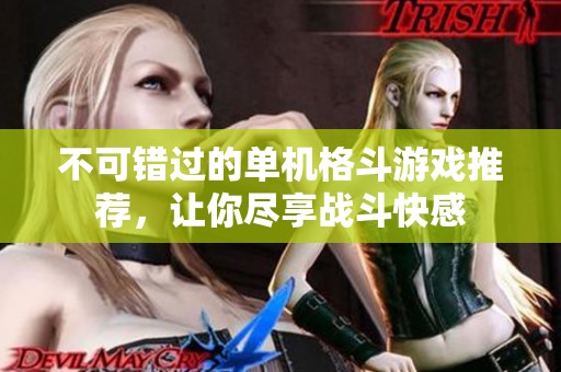 不可错过的单机格斗游戏推荐，让你尽享战斗快感