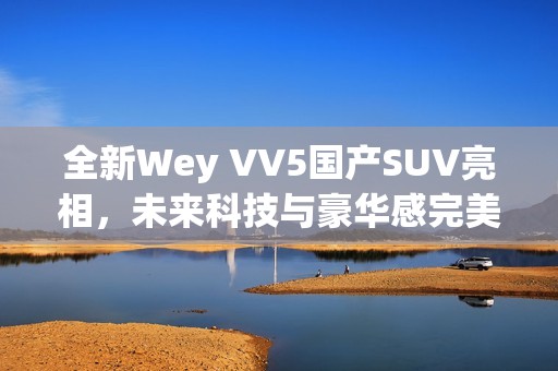 全新Wey VV5国产SUV亮相，未来科技与豪华感完美结合