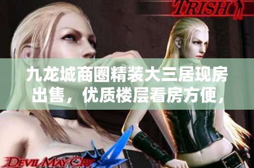 九龙城商圈精装大三居现房出售，优质楼层看房方便，成就您的理想家园