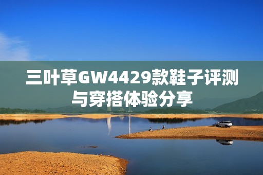 三叶草GW4429款鞋子评测与穿搭体验分享