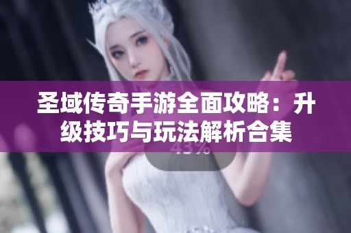 圣域传奇手游全面攻略：升级技巧与玩法解析合集