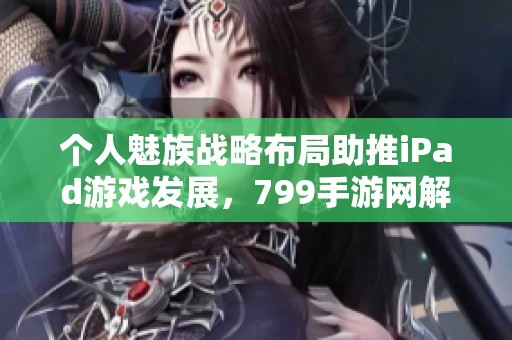 个人魅族战略布局助推iPad游戏发展，799手游网解析行业新动态
