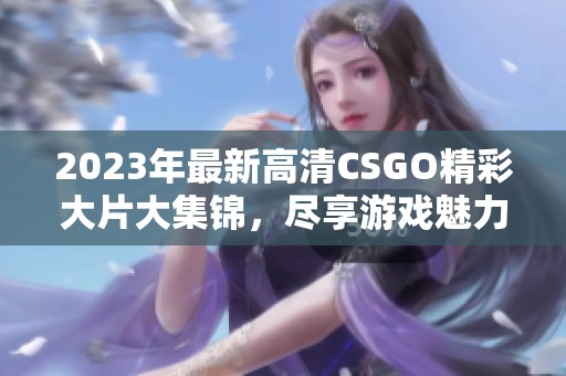 2023年最新高清CSGO精彩大片大集锦，尽享游戏魅力