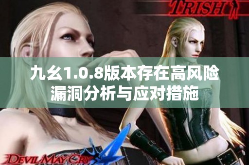 九幺1.0.8版本存在高风险漏洞分析与应对措施