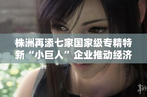 株洲再添七家国家级专精特新“小巨人”企业推动经济发展