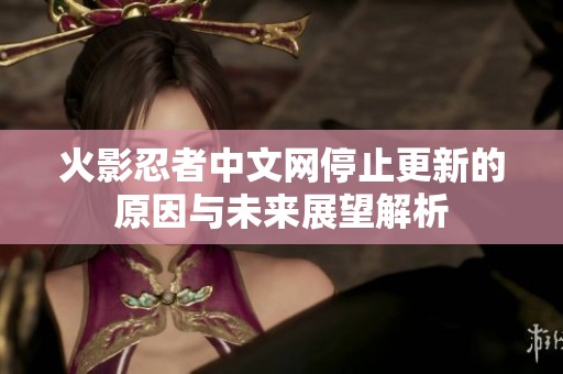 火影忍者中文网停止更新的原因与未来展望解析