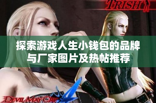 探索游戏人生小钱包的品牌与厂家图片及热帖推荐
